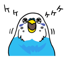 Coby and Jolly budgies sticker #135632