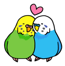 Coby and Jolly budgies sticker #135633