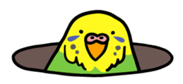 Coby and Jolly budgies sticker #135636