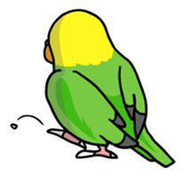 Coby and Jolly budgies sticker #135640