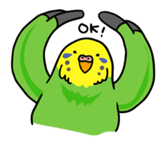 Coby and Jolly budgies sticker #135644