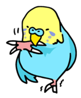 Coby and Jolly budgies sticker #135648