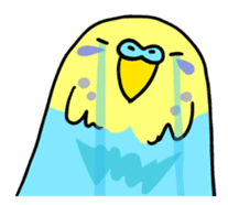 Coby and Jolly budgies sticker #135649