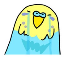 Coby and Jolly budgies sticker #135649