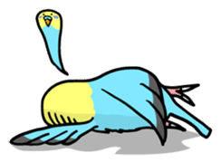 Coby and Jolly budgies sticker #135650