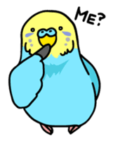 Coby and Jolly budgies sticker #135651