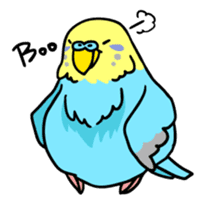 Coby and Jolly budgies sticker #135652