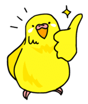Coby and Jolly budgies sticker #135655