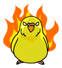 Coby and Jolly budgies sticker #135656