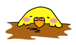 Coby and Jolly budgies sticker #135658