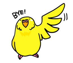 Coby and Jolly budgies sticker #135659