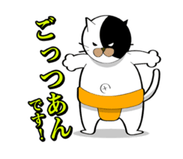 Spo Cat sticker #136102