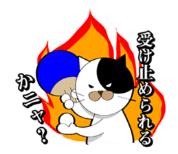 Spo Cat sticker #136109