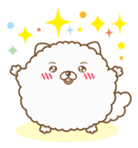 THE BOY POMERANIAN -POMETA- sticker #136340