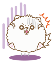 THE BOY POMERANIAN -POMETA- sticker #136344