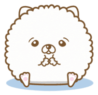 THE BOY POMERANIAN -POMETA- sticker #136345