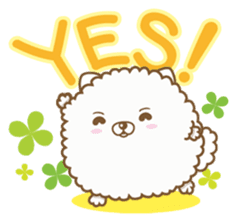 THE BOY POMERANIAN -POMETA- sticker #136353