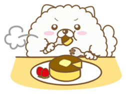 THE BOY POMERANIAN -POMETA- sticker #136365