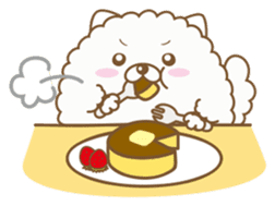 THE BOY POMERANIAN -POMETA- sticker #136365