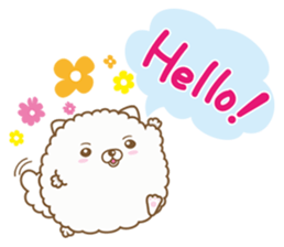 THE BOY POMERANIAN -POMETA- sticker #136376