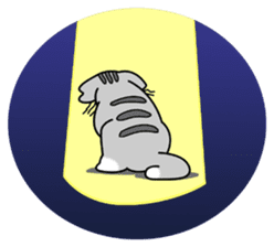 Macky the cat Vol.1 sticker #136871