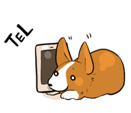 Sticker of Corgi sticker #140475