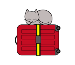 Grey Cat sticker #140500