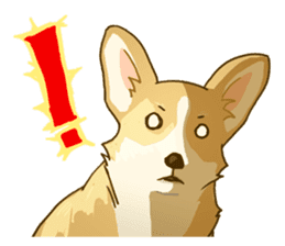 MAIRO the Corgi sticker #145417