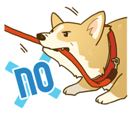 MAIRO the Corgi sticker #145423