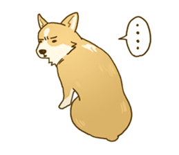 MAIRO the Corgi sticker #145436