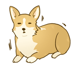 MAIRO the Corgi sticker #145446