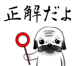 SIWASIWA sticker #145565