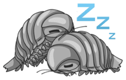 Giant Isopod sticker #146215