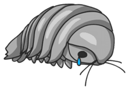 Giant Isopod sticker #146222