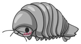 Giant Isopod sticker #146234