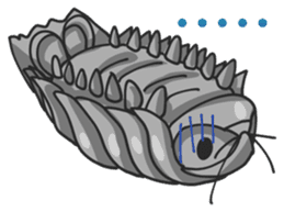 Giant Isopod sticker #146243