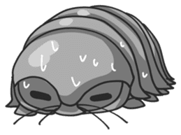 Giant Isopod sticker #146247