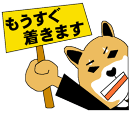 Shiba-Inu Salaryman sticker #147829