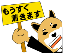 Shiba-Inu Salaryman sticker #147829