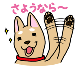 Yuruinu sticker #149833