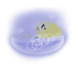 Little Orange & Lemon sticker #150343