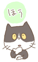 cat cat cat sticker #151249