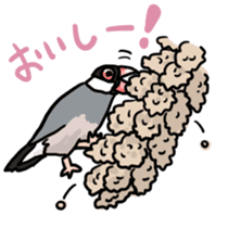 Java sparrow Chappy sticker #151445