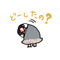 Java sparrow Chappy sticker #151446