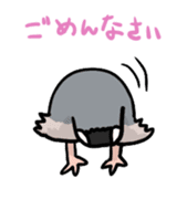 Java sparrow Chappy sticker #151449