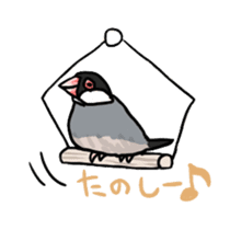 Java sparrow Chappy sticker #151454