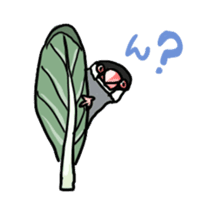 Java sparrow Chappy sticker #151457