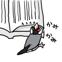 Java sparrow Chappy sticker #151459