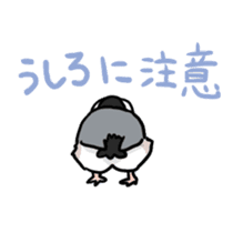 Java sparrow Chappy sticker #151460