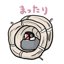 Java sparrow Chappy sticker #151465